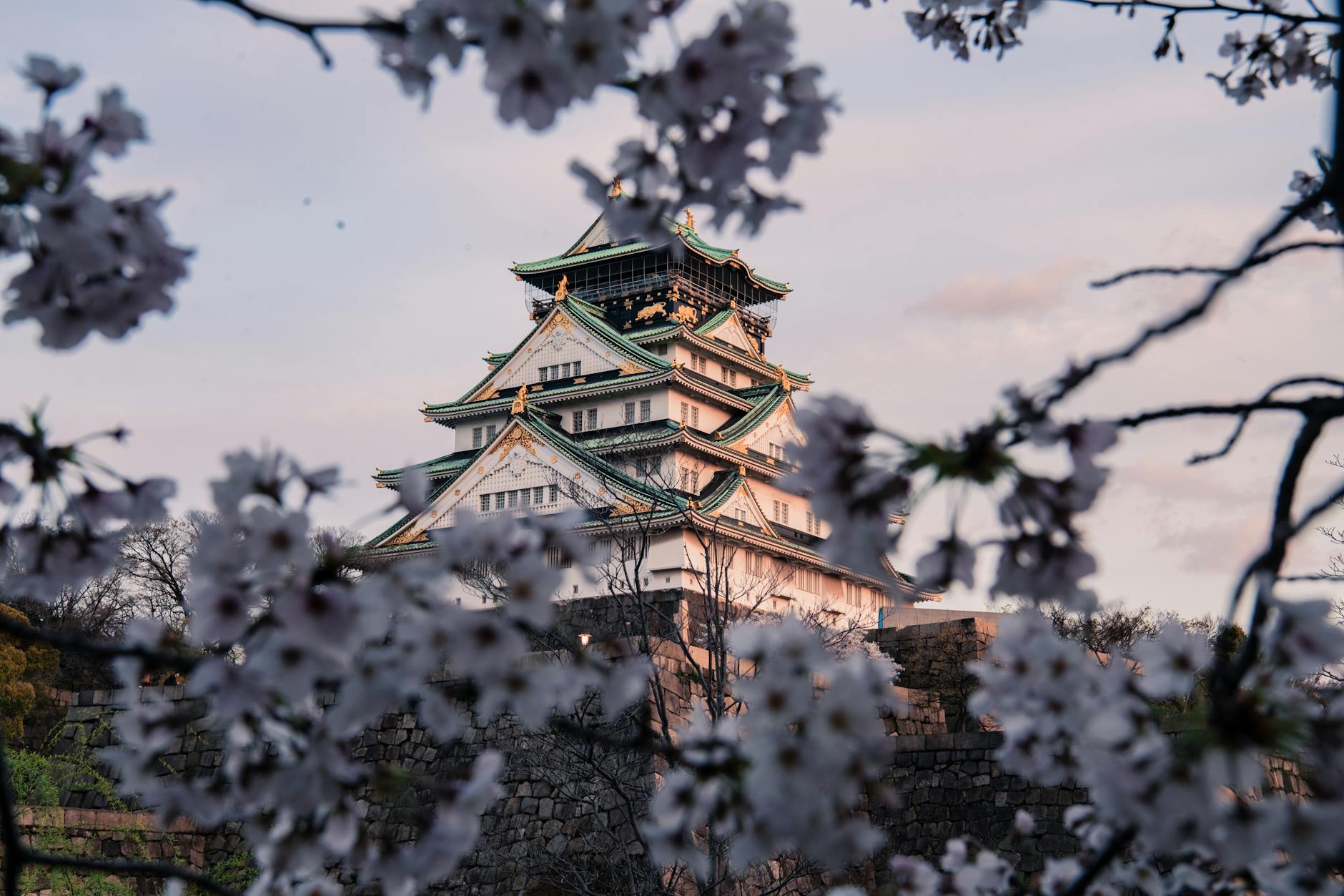 過去への旅へ：時代小説・歴史小説の奥深い世界とその魅力
